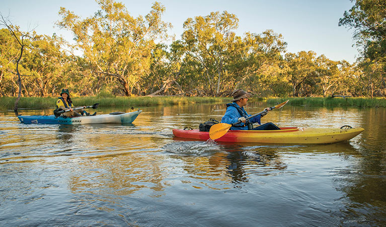 NPWS and DPIE staff conducting bird surveys on kayaks. Photo: John Spencer/DPIE