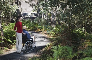 People using a wheelchair accessible track in one of NSW's national parks. Photo: Paul Foley's Lightmoods