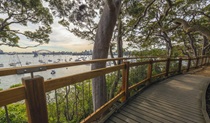 The International Fleet Review at Bradleys Head in Sydney Harbour National Park. Photo: John Spencer &copy; OEH