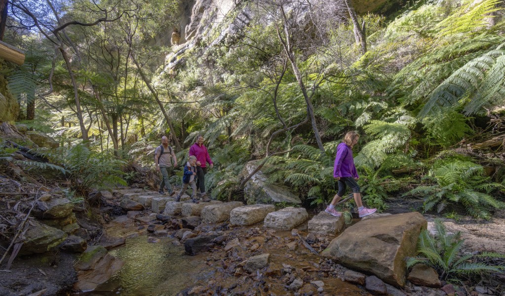Family walking on the Glow Worm Tunnel walking track through Penrose Gorge, Wollemi National Park. Photo: John Spencer © DCCEEW