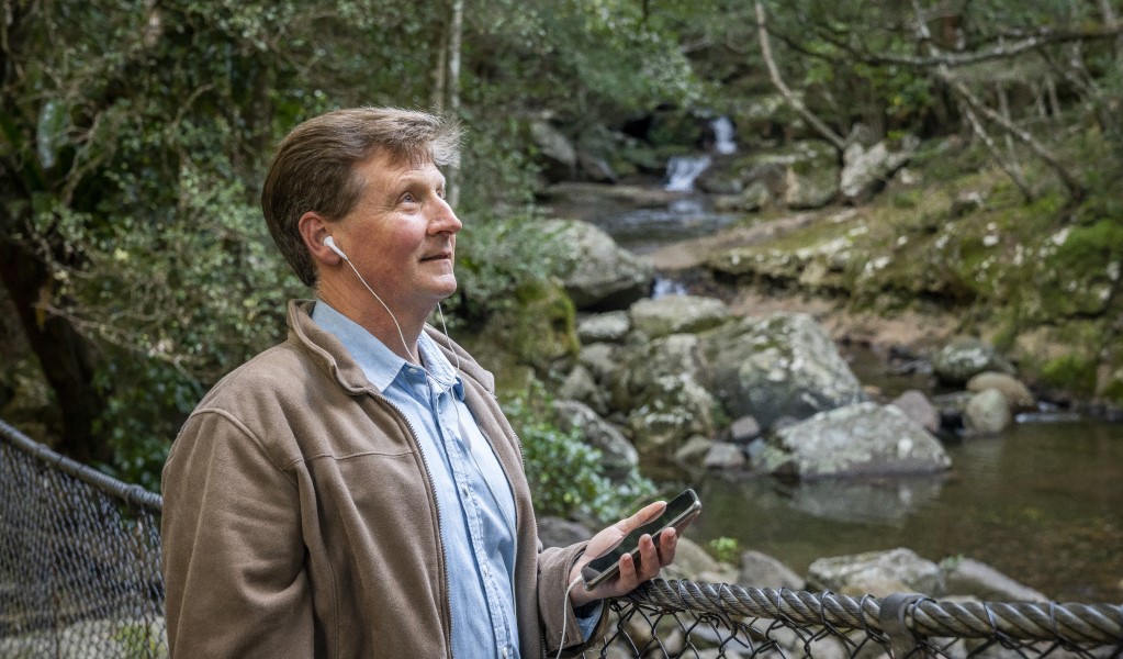 A man listens to an audio tour on the suspension bridge in Minnamurra Rainforest. Photo: John Spencer © DPE