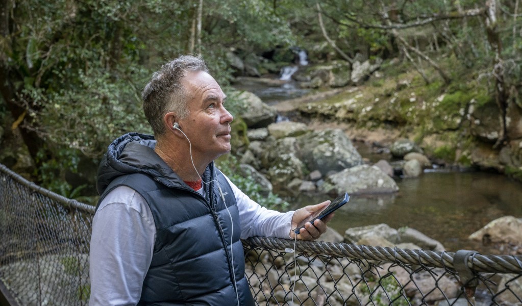 A man listens to an audio tour on the suspension bridge in Minnamurra Rainforest. Photo: John Spencer © DPE