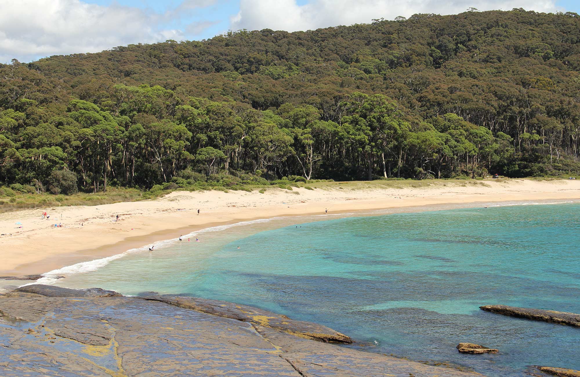 Best South Coast NSW campgrounds NSW National Parks