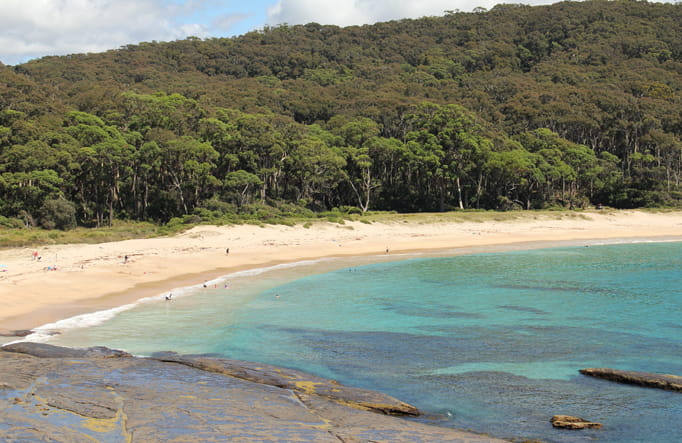Best South Coast NSW campgrounds | NSW National Parks