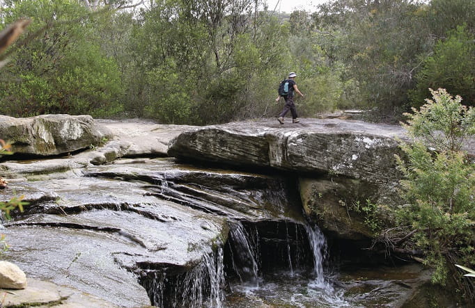 A walker crosses the Stepping stone crossing to Cascades trail, Garigal National Park. Photo: Shaun Sursok &copy; DPIE