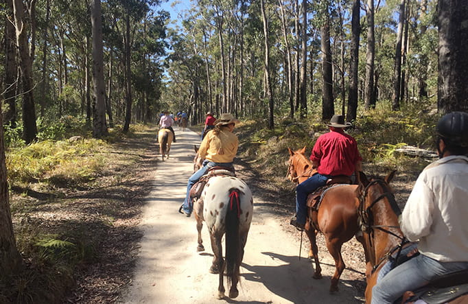 A group of horse riders enjoy a forest trail ride in Basket Swamp National Park. Photo credit: V Sherry Athra &copy; V Sherry Athra