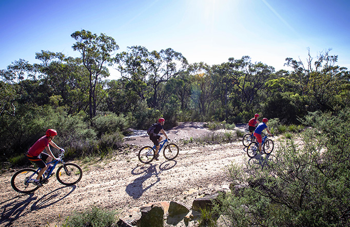 trail bike tours nsw