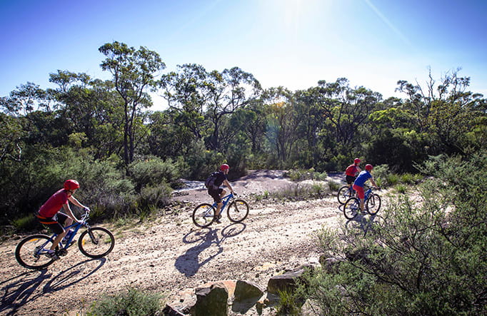 A group of mountain bikers riding along a gravel trail on a guided e-bike tour through the Blue Mountains, Photo credit:  Sam Carr &copy; Blue Mountains BIking Adventures