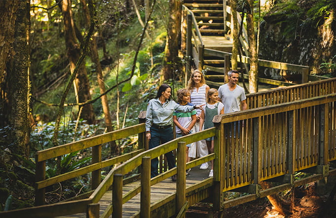 Family enjoying a guided tour of Copeland Tops State Conservation Area. Credit: Destination NSW