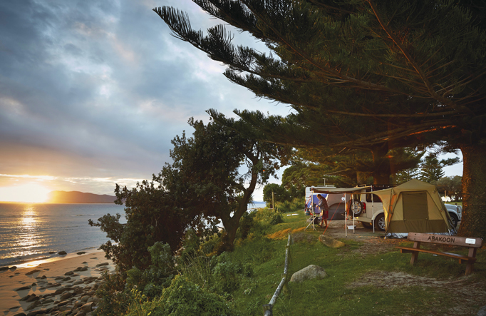 Best North Coast NSW campgrounds | NSW National Parks