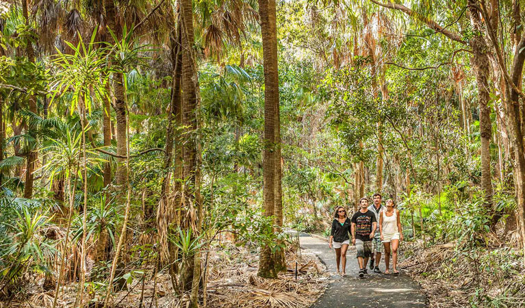 Friends walking along Palm Valley in Cape Byron. Photo: M Vanderveer/OEH