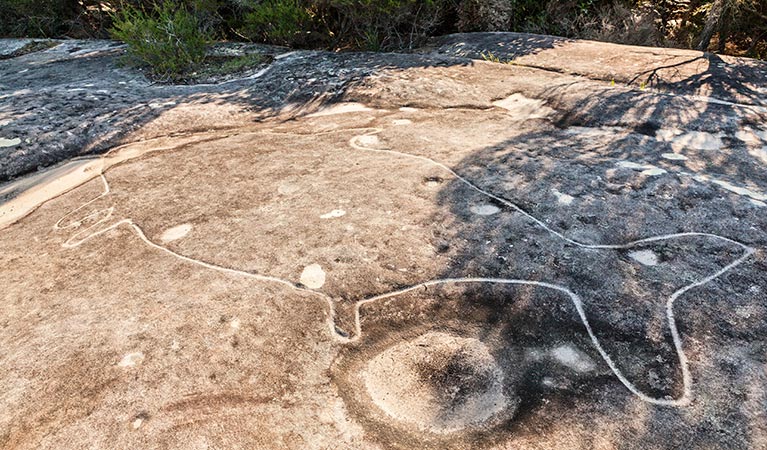 Aboriginal engravings in Royal National Park. Photo: David Finnegan