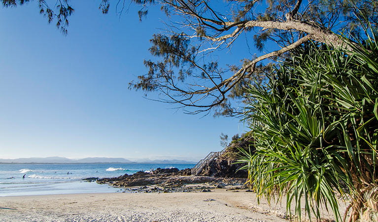 The Pass in Cape Byron Conservation Area. Photo: John Spencer &copy; DPIE