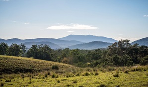Sacred to the local Aboriginal Yuin People for centuries, Biamanga National Park is a wild landscape of cascades and granite boulders, ribbon gums and creeks. Credit: John Spencer &copy; DCCEEW 