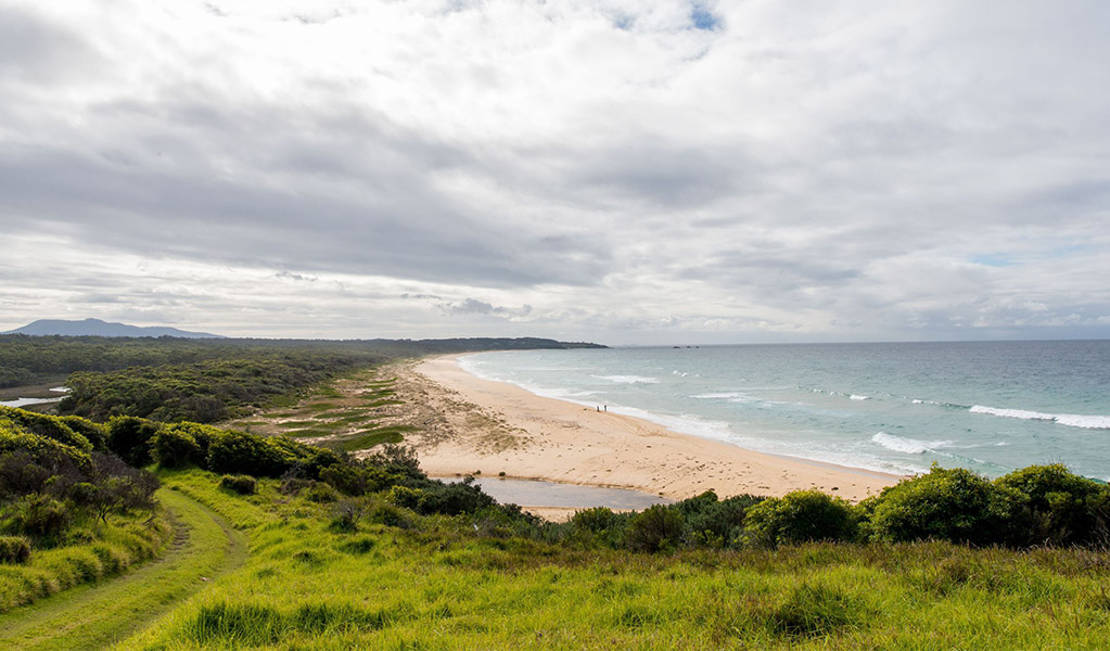 A long beach in Biamanga National Park with dunes and a mountain in the distance. Credit: John Spencer &copy; DCCEEW 