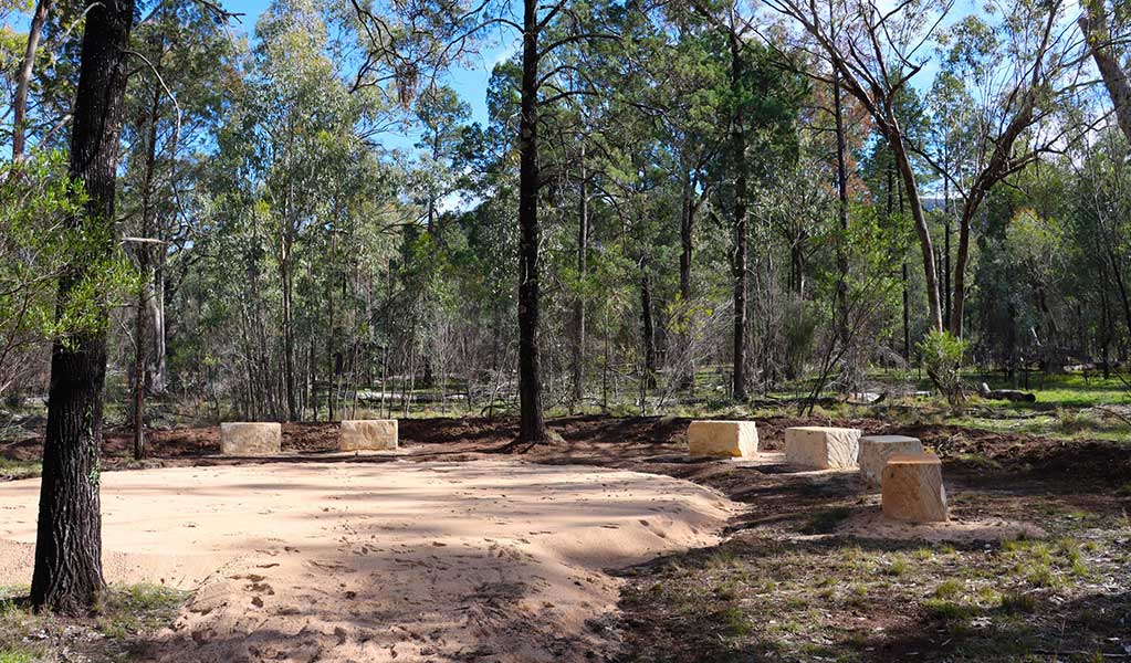 Stone blocks forming a dance circle surrounded by Cypress pines in Boonalla Aboriginal Area. Credit: James Gordge &copy; DCCEEW
