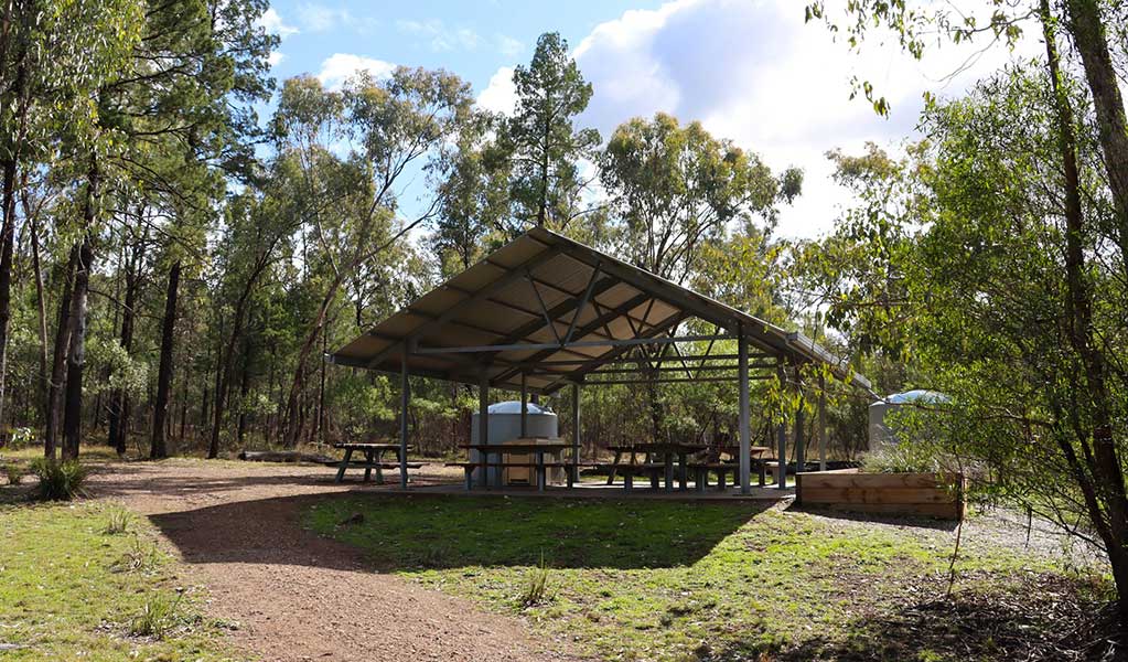 A sheltered picnic area surrounded by Cypress pines in Boonalla Aboriginal Area, the traditional country of the Gamilaroi Aboriginal People. Credit: James Gordge &copy; DCCEEW