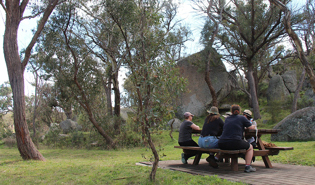 A group of people sitting at a picnic table in Bulagaranda (Mount Yarrowyck) Aboriginal Area that is jointly managed by NPWS and the Bulagaranda Board of Management. &copy; Jessica Stokes/DCCEEW
