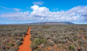 An aerial view of a red dirt road surrounded by arid shrublands in Gundabooka National Park. Credit: Joshua J Smith &copy; DCCEEW