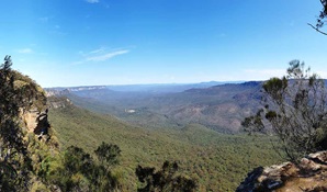 A view of the vast forests and sandstone escarpments in Blue Mountains National Park. Credit: Yvonne Kaiser / DCCEEW &copy; DCCEEW