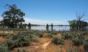 Ita Lake surrounded by grass and shrubs in Kalyarr National Park, the traditional lands of the Nari Nari Aboriginal people. Credit: Jess Murphy &copy; DCCEEW