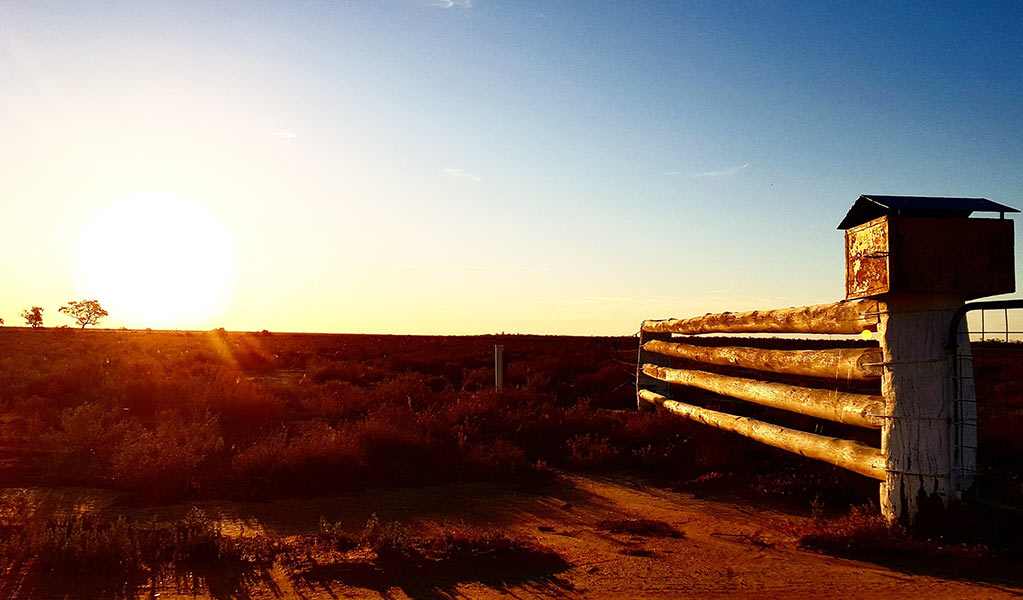 Sunset at Lachlan River Visitor Area in Kalyarr National Park - jointly managed by NPWS and the Mawambul Co-management Group. Credit: Samantha Ellis / DCCEEW &copy; Samantha Ellis