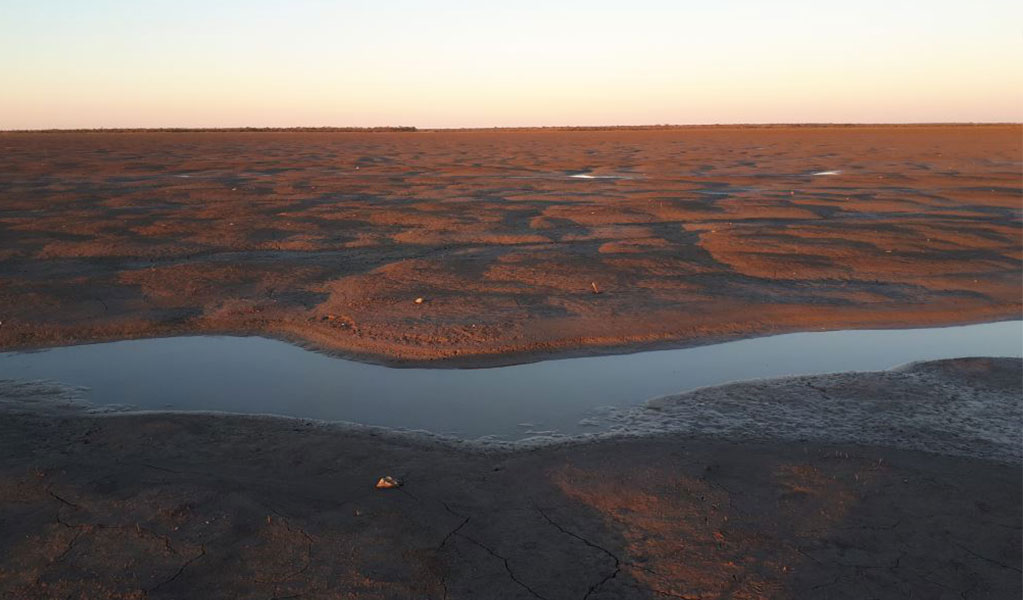 An aerial view of the mud flats in Narran Lake Nature Reserve, managed under a joint management program. Credit: Joanne Ocock/DCCEEW &copy; Joanne Ocock