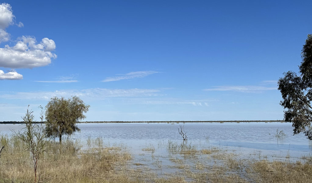 Ramsar listed Clear Lake in Narran Lake Nature Reserve. Credit: DCCEEW &copy; DCCEEW 