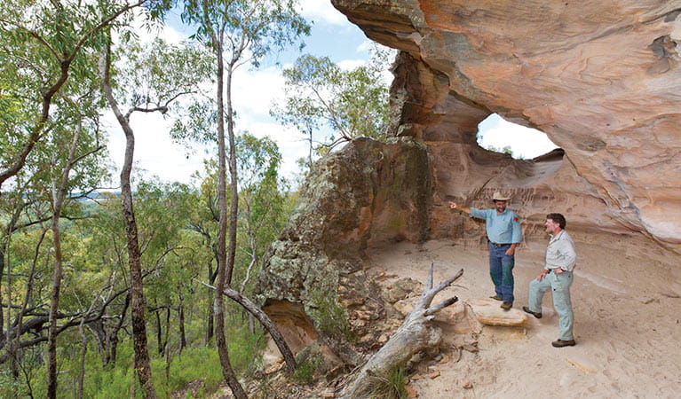 Aboriginal Joint Management, Pilliga National Park. Photo: Rob Cleary