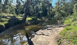 Rock Shelf Berrygil Creek in Terry Hie Aboriginal Area, part of the Terry Hie Hie joint management program. redit: DCCEEW &copy; DCCEEW