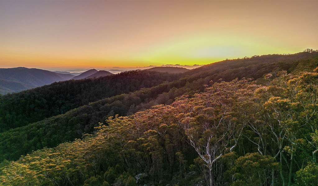 Sunset over the mountains and bush at Granite Lookout, Washpool National Park, jointly managed under the Western Bundjalung Indigenous Land Use Agreement. Credit and &copy; DCCEEW