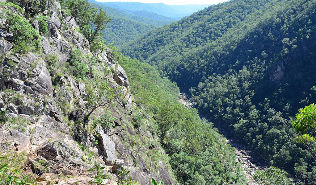 A view of the valley from Billyrimba Lookout, Boonoo Boonoo National Park which is on the traditional lands of the Western Bundjalung Aboriginal People. Credit: Ann Richards &copy; DCCEEW