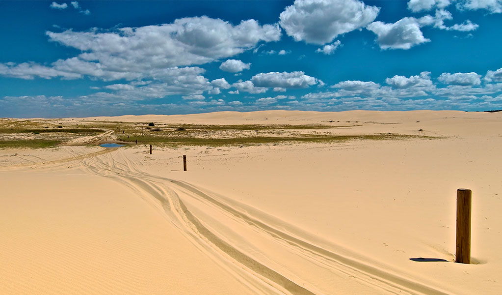 Tracks on the sand dune in Worimi National Park on the traditional lands of the Worimi People. Credit: John Spencer &copy; DCCEEW