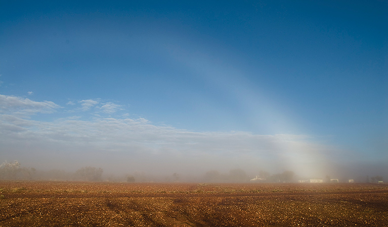 Duststorm over Sturt National Park. Photo: Boris Hlavica