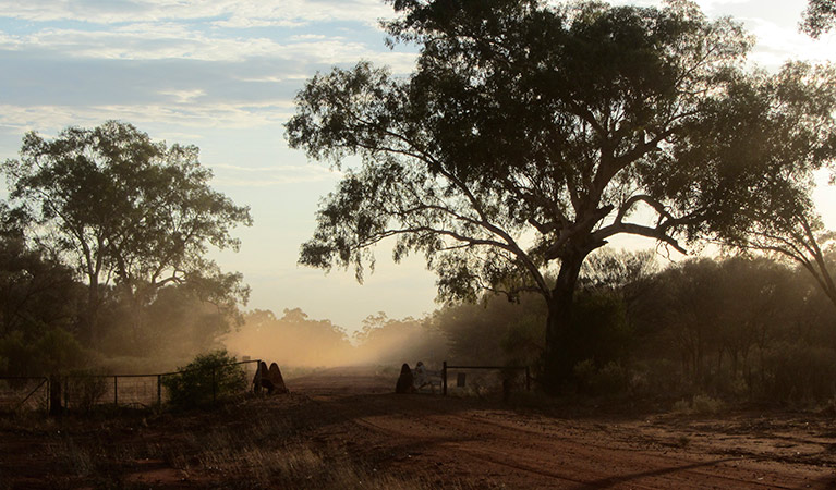 Dust storm over Toorale National Park. Photo: Philip Nicholas