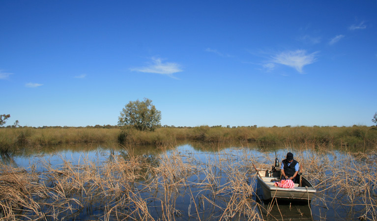 Freshwater analysis, Narran Lake Nature Reserve. Photo: Maree Barnes