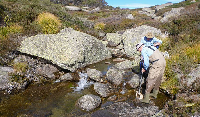 Taking water samples at Kosciuszko National Park. Photo: Jane Miller