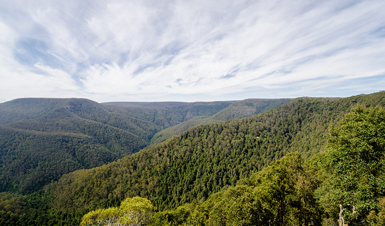 Views across the valley of Barrington Tops National Park. Photo: John Spencer