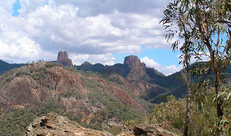 Views looking towards the Grand High Tops, Warrumbungle National Park. Photo: John Spencer