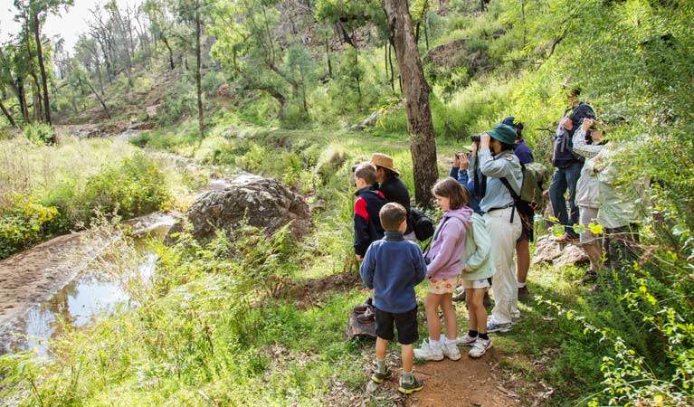 School kids helping the citizen science program in Warrumbungle National Park. Photo: Erin Roger