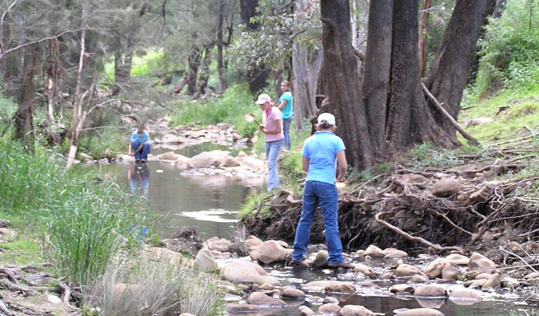 People researching the area after a fire, Warrumbungle National Park. Photo: OEH