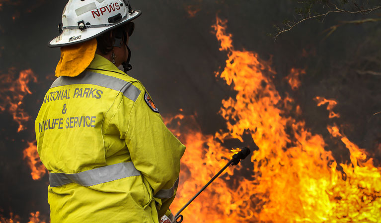 NPWS field officer conducting a hazard reduction burn, Heathcote National Park. Photo: Peter Tadeski