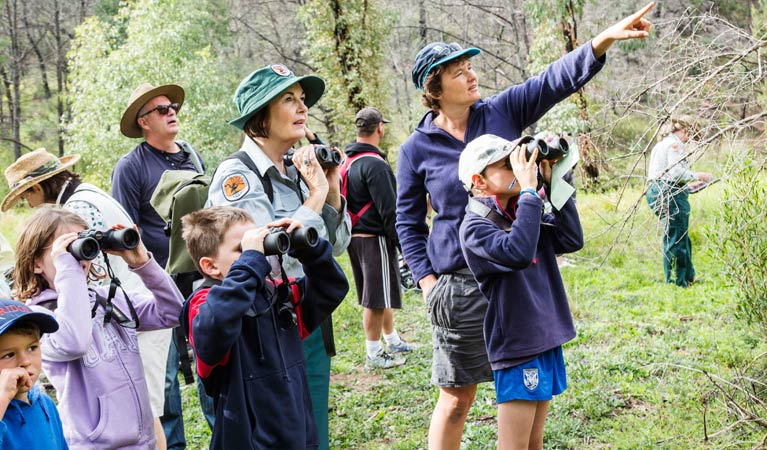 Enjoy birdwatching in Warrumbungle National Park. Photo: Simone Cottrell/OEH.