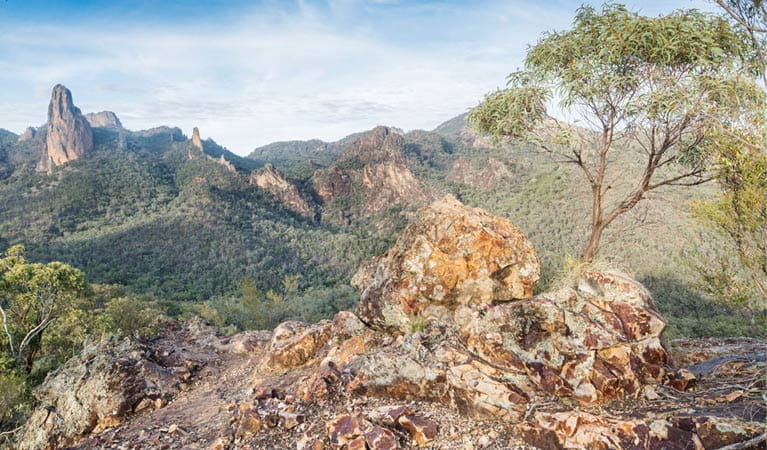 View of Grand High Tops and Breadknife, Warrumbungle National Park. Photo: Simone Cottrell.