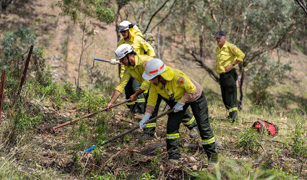 NPWS rangers planning a hazard reduction burn. Photo: OEH