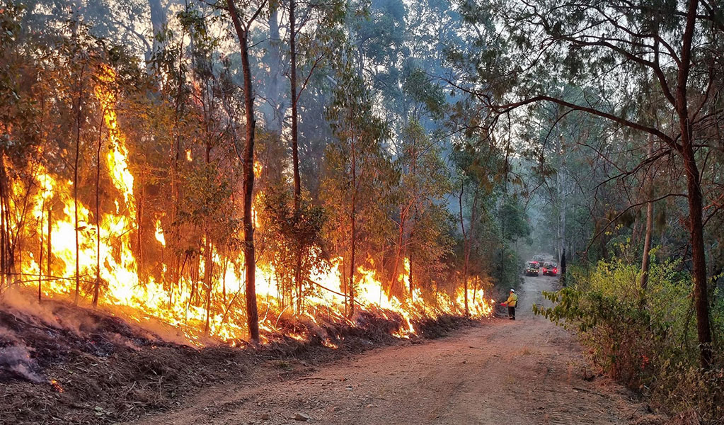 Joint operation with NPWS staff and NSW Rural Fire Service, Warrumbungle National Park. Photo: John Spencer