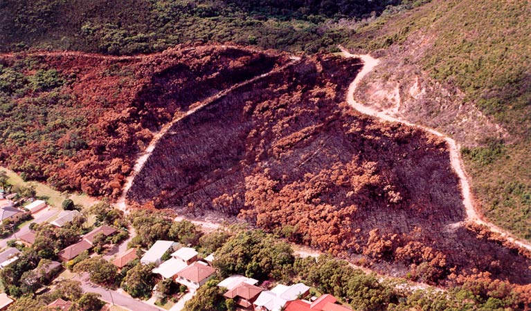 Planned hazard reduction burn to protect property, Tomaree National Park. Photo: OEH