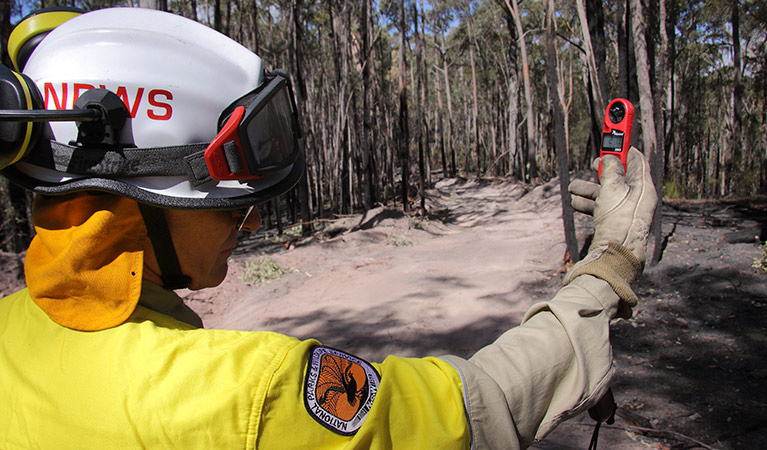 NPWS ranger patrolling a spotover fire, Bournda National Park. Photo: Lucy Morrell