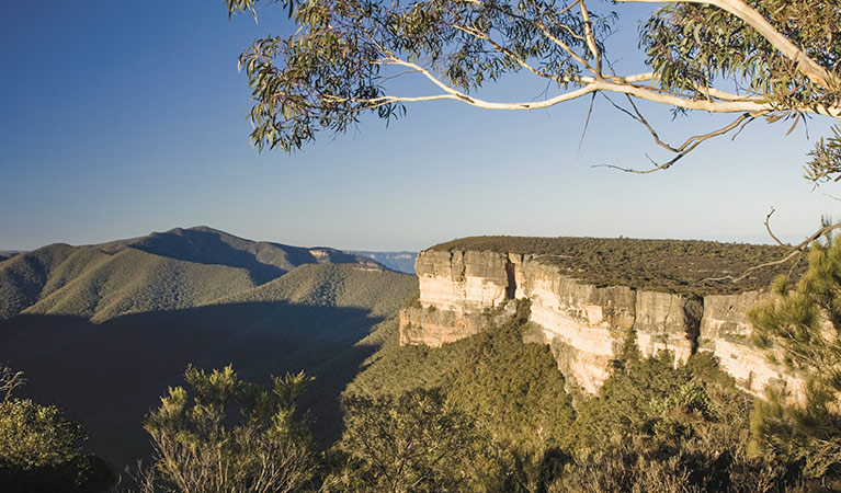  Looking across the valley, Kanangra Boyd National Park. Photo: Simone Cottrell