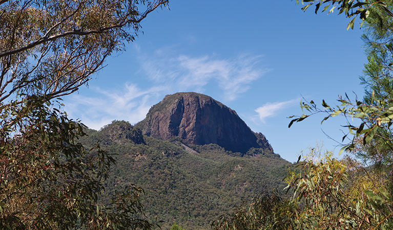 View from Fans Horizon lookout, Warrumbungle National Park. Photo: Rob Cleary